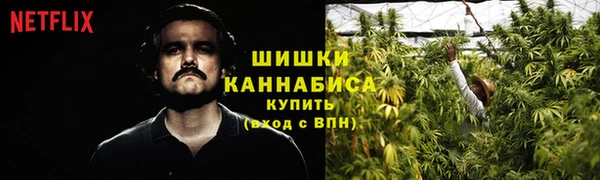 сатива Магас