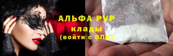 сатива Магас