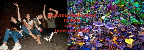 МДПВ Лихославль