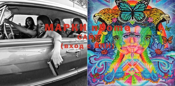 сатива Магас