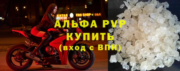 сатива Магас