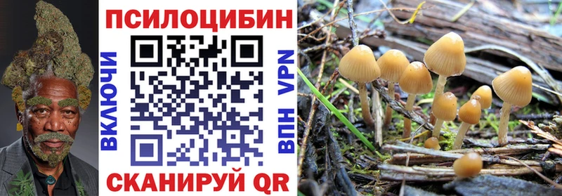 сколько стоит  Лагань  Галлюциногенные грибы мухоморы 